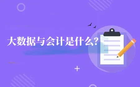 大数据与会计是什么？